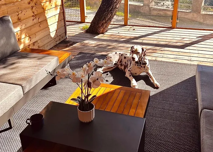 Traumhafte Mit Einzigartigen Meerblick Saint-Raphaël